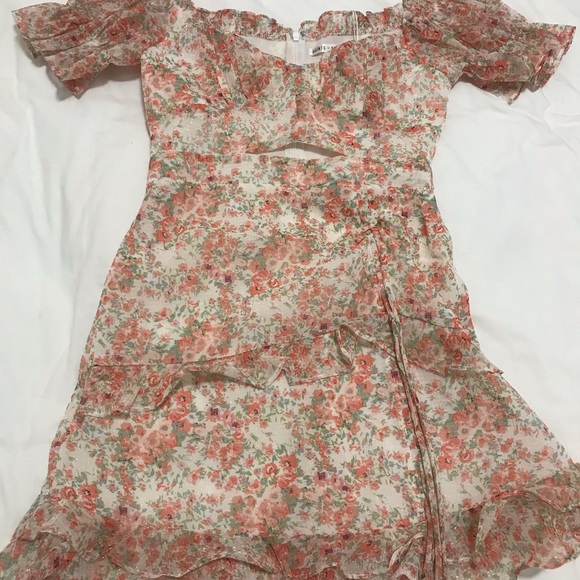 BNWT Sundae Muse Marcelle Dress Blush Size XS / AU 6 - Picture 8 of 15